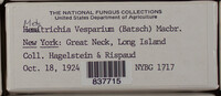 Image Associated With the Occurence